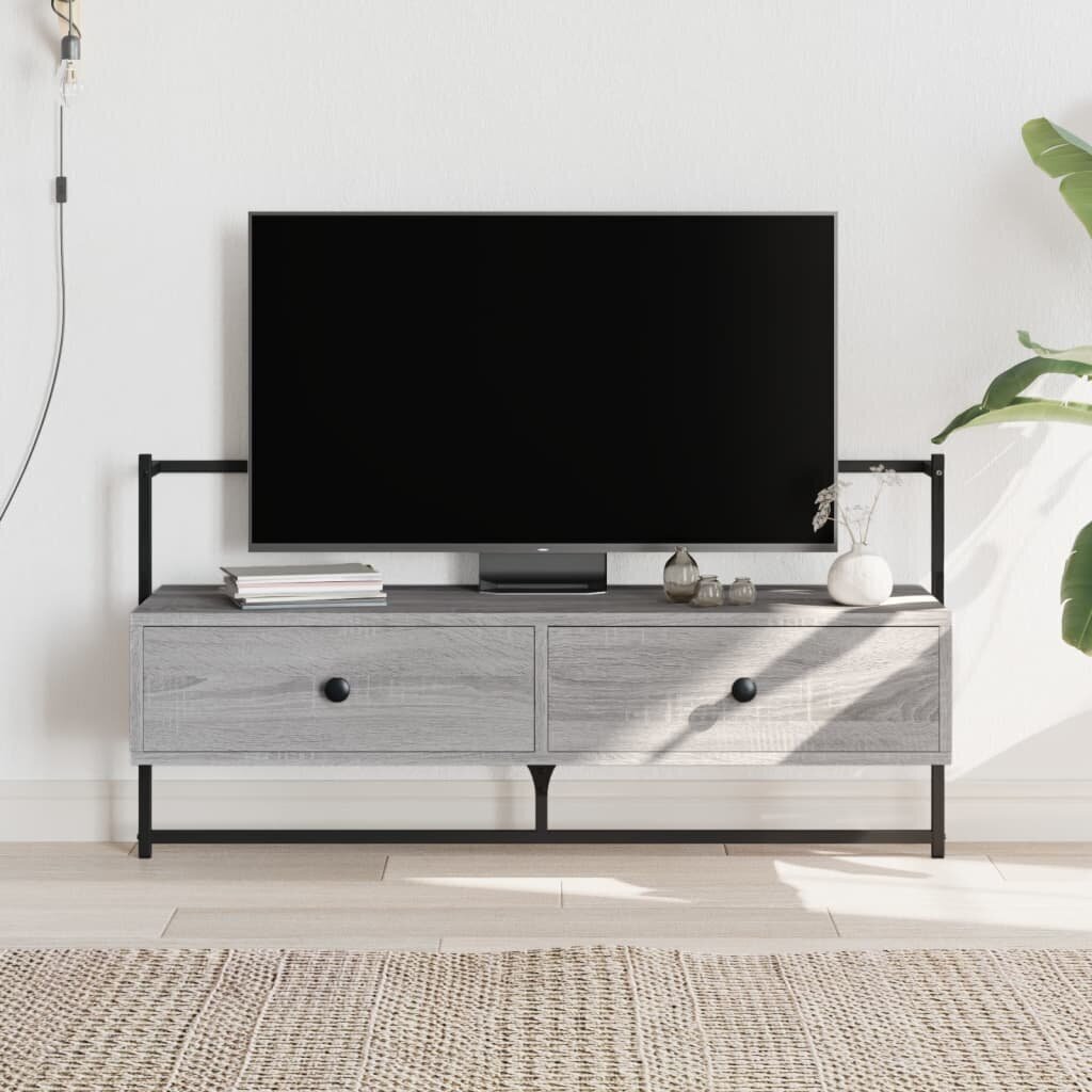 vidaXL TV-kaappi seinälle harmaa Sonoma 100,5x30x51 cm tekninen puu hinta ja tiedot | TV-tasot | hobbyhall.fi