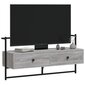 vidaXL TV-kaappi seinälle harmaa Sonoma 100,5x30x51 cm tekninen puu hinta ja tiedot | TV-tasot | hobbyhall.fi