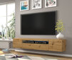 TV-taso RTV Aura 200 LED-valolla, ruskea hinta ja tiedot | TV-tasot | hobbyhall.fi