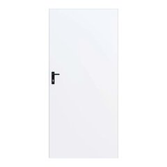 Metallinen etuovi, MZ41, 895 x 2010 cm, valkoinen hinta ja tiedot | Ulko-ovet | hobbyhall.fi