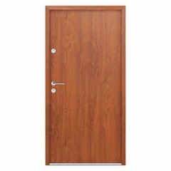 Metallinen ovi, ATS56, 950x2050 cm, Golden Oak hinta ja tiedot | Ulko-ovet | hobbyhall.fi