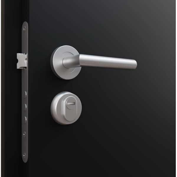 Metallinen ovi, ATS56, 950x2050 cm, Golden Oak hinta ja tiedot | Ulko-ovet | hobbyhall.fi
