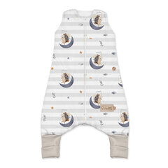 Vauvojen makuupussi, jossa on jalkatilaa Albero Mio, CP3 Moon hedgehog, M hinta ja tiedot | Vauvan tyynyt ja peitot | hobbyhall.fi