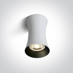 ONELight kattovalaisin Cylinder 12105F/W hinta ja tiedot | OneLight Huonekalut ja sisustus | hobbyhall.fi