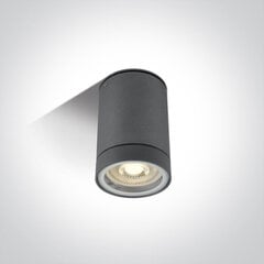 OneLight kattovalaisin Cylinders 67130C/AN hinta ja tiedot | Kattovalaisimet | hobbyhall.fi