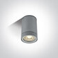 OneLight ulkokattovalaisin Cylinders 67130C/G hinta ja tiedot | Kattovalaisimet | hobbyhall.fi