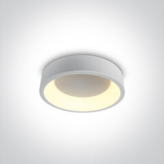 OneLight kattovalaisin LED 62130N/W/W hinta ja tiedot | OneLight Huonekalut ja sisustus | hobbyhall.fi