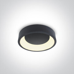 OneLight kattovalaisin LED 62130N/AN/W hinta ja tiedot | Kattovalaisimet | hobbyhall.fi