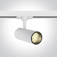 OneLight kattovalaisin COB Cylinder LED 65642AT/W/W hinta ja tiedot | OneLight Huonekalut ja sisustus | hobbyhall.fi