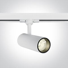 OneLight kattovalaisin COB Cylinder LED 65642AT/W/C hinta ja tiedot | OneLight Lamput ja valaisimet | hobbyhall.fi