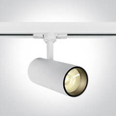 OneLight kattovalaisin COB Cylinder LED 65642BT/W/W hinta ja tiedot | OneLight Huonekalut ja sisustus | hobbyhall.fi