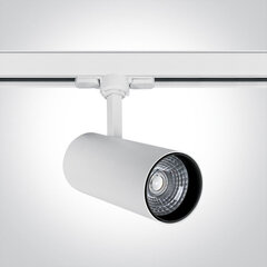 OneLight kattovalaisin COB Cylinder LED 65642BT/W/C hinta ja tiedot | OneLight Huonekalut ja sisustus | hobbyhall.fi