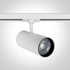 OneLight kattovalaisin COB Cylinder Track LED 65642CT/W/W hinta ja tiedot | OneLight Lamput ja valaisimet | hobbyhall.fi