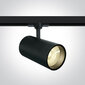 OneLight kattovalaisin COB Cylinder Track LED 65642CT/B/W hinta ja tiedot | Kattovalaisimet | hobbyhall.fi