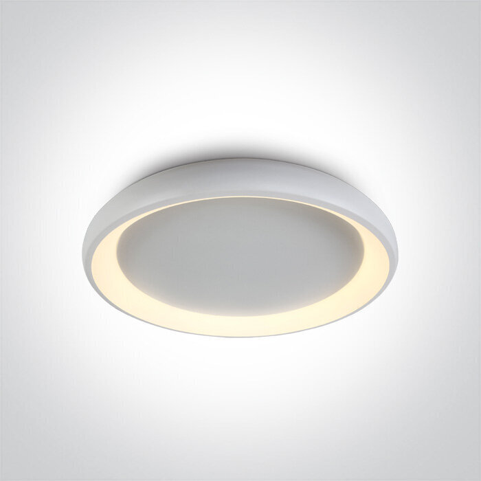 OneLight kattovalaisin LED Decorative Plafo hinta ja tiedot | Kattovalaisimet | hobbyhall.fi