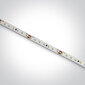 OneLight LED nauha 7829/C hinta ja tiedot | Kattovalaisimet | hobbyhall.fi