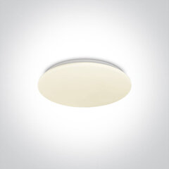 OneLight kattovalaisin LED Plafo 62026A/W hinta ja tiedot | Kattovalaisimet | hobbyhall.fi