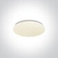 OneLight kattovalaisin LED Plafo 62026A/W hinta ja tiedot | Kattovalaisimet | hobbyhall.fi