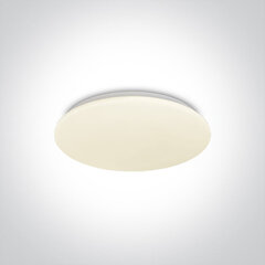OneLight kattovalaisin LED Plafo 62026B/W hinta ja tiedot | Kattovalaisimet | hobbyhall.fi