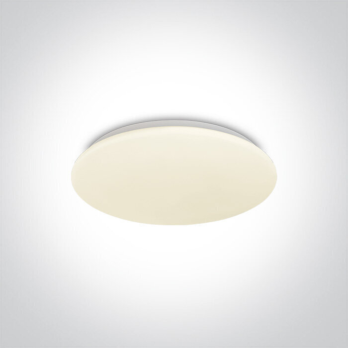 OneLight kattovalaisin LED Plafo 62026B/W hinta ja tiedot | Kattovalaisimet | hobbyhall.fi