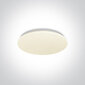 OneLight kattovalaisin LED Plafo 62026B/W hinta ja tiedot | Kattovalaisimet | hobbyhall.fi