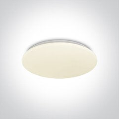 OneLight kattovalaisin LED Plafo 62026C/W hinta ja tiedot | Kattovalaisimet | hobbyhall.fi