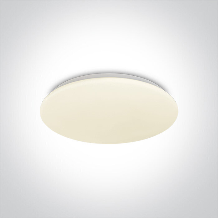 OneLight kattovalaisin LED Plafo 62026C/W hinta ja tiedot | Kattovalaisimet | hobbyhall.fi