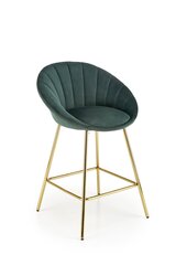 2-ių kėdžių komplektas H112, žalias/auksinis hinta ja tiedot | Ruokapöydän tuolit | hobbyhall.fi
