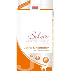 Select Mobility täysravinto aikuisille koirille 10kg hinta ja tiedot | Koiran kuivaruoka | hobbyhall.fi