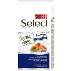 Select Adult Grain Free Salmon Menu täysravinto aikuisille koirille 2kg hinta ja tiedot | Koiran kuivaruoka | hobbyhall.fi