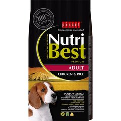 Nutribest Adult Chicken & Rice koiranruoka 15kg hinta ja tiedot | Koiran kuivaruoka | hobbyhall.fi