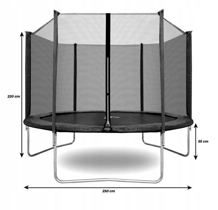 Trampoliini Aga 250 cm hinta ja tiedot | Trampoliinit | hobbyhall.fi