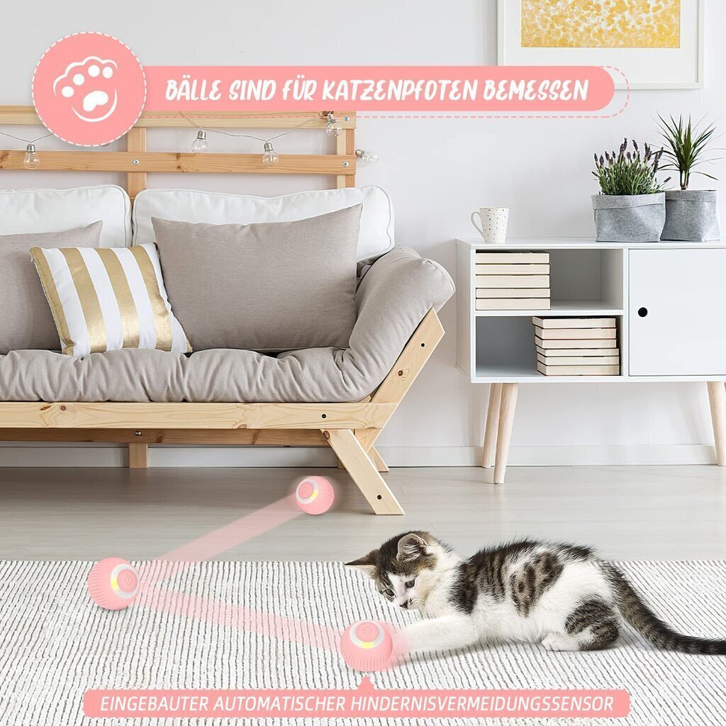 Liikkuvat kissan lelut sininen ja pinkki, 2 kpl hinta ja tiedot | Kissan lelut | hobbyhall.fi