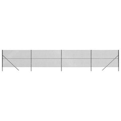 vidaXL Verkkoaita antrasiitti 1,6x10 m hinta ja tiedot | Aidat ja tarvikkeet | hobbyhall.fi