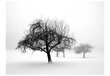 Valokuvatapetti - Winter: Trees 200x154 cm hinta ja tiedot | Valokuvatapetit | hobbyhall.fi