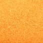 vidaXL Ovimatto pestävä oranssi 120x180 cm hinta ja tiedot | Ovimatot | hobbyhall.fi