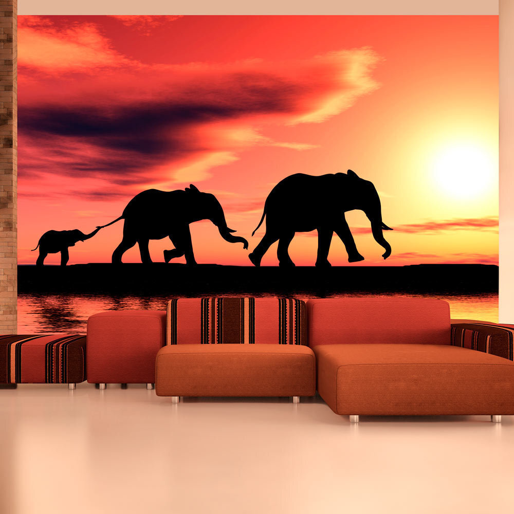 Valokuvatapetti - elephants: family 550x270 cm hinta ja tiedot | Valokuvatapetit | hobbyhall.fi