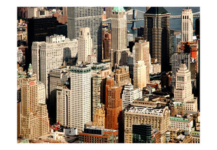 Valokuvatapetti - skyscrapers, Manhattan 300x231 cm hinta ja tiedot | Valokuvatapetit | hobbyhall.fi