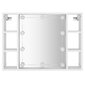 vidaXL Peilikaappi LED-valoilla valkoinen 76x15x55 cm hinta ja tiedot | Kylpyhuonekaapit | hobbyhall.fi
