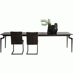 Pöytä, Bug, 300x90cm hinta ja tiedot | Ruokapöydät | hobbyhall.fi