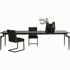 Pöytä, Bug, 200x90cm hinta ja tiedot | Ruokapöydät | hobbyhall.fi