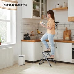 Tikkaat, Songmics, 2 askelmaa, 43cm hinta ja tiedot | Songmics Kodin remontointi | hobbyhall.fi