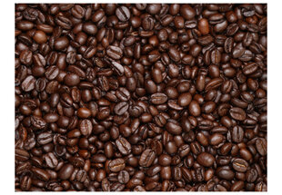 Valokuvatapetti - Coffee beans 200x154 cm hinta ja tiedot | Valokuvatapetit | hobbyhall.fi