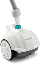 Uima-altaan puhdistusaine Intex ZX50 hinta ja tiedot | Uima-allastarvikkeet | hobbyhall.fi