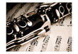 Valokuvatapetti - Clarinet and music notes 300x231 cm hinta ja tiedot | Valokuvatapetit | hobbyhall.fi