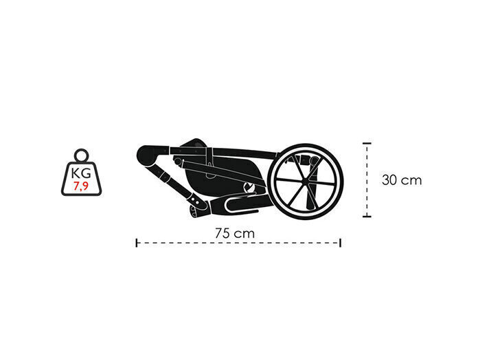 Yleisvaunut Lonex Comfort Special 2in1, S02 ruskea hinta ja tiedot | Vaunut ja rattaat | hobbyhall.fi