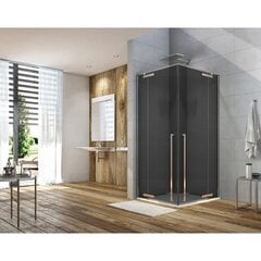 Alterna suihkukaappi 120x120 cm harmaa hinta ja tiedot | Suihkukaapit ja suihkunurkat | hobbyhall.fi