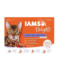 IAMS Delights konservai su paukštiena, ėriena ir žuvimi, 12x85 g hinta ja tiedot | Kissanruoka | hobbyhall.fi