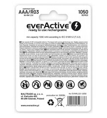everActive EVHRL03-550 hinta ja tiedot | Kameran akut | hobbyhall.fi