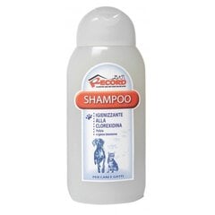 Shampoo Record klooriheksidiinillä, 250 ml hinta ja tiedot | Shampoot ja hoitoaineet lemmikeille | hobbyhall.fi